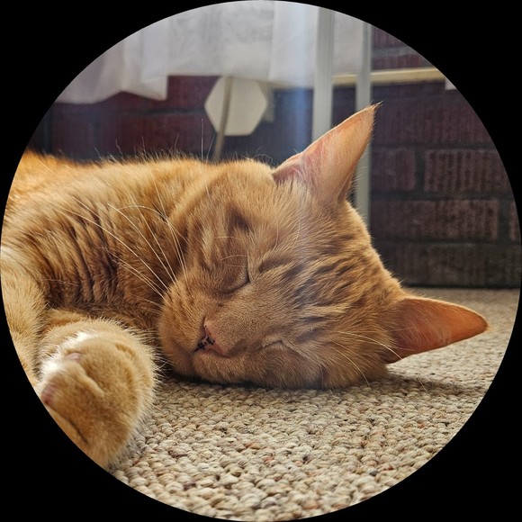 daspuss